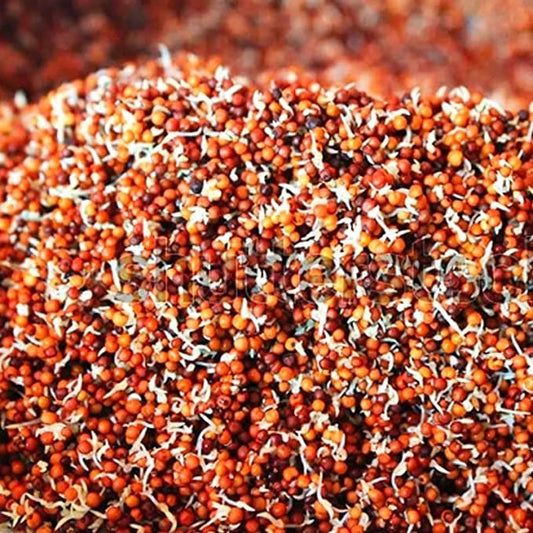 Sprouted ragi powder